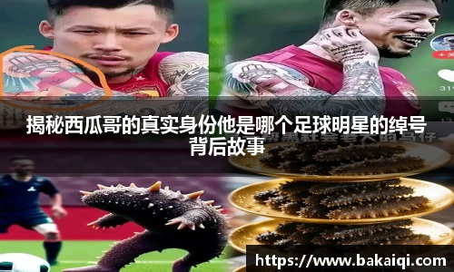 完美体育365平台官网